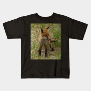 Fox Cub - Magpie Springs - Adelaide Hills Wine Region - Fleurieu Peninsula - South Australia Kids T-Shirt